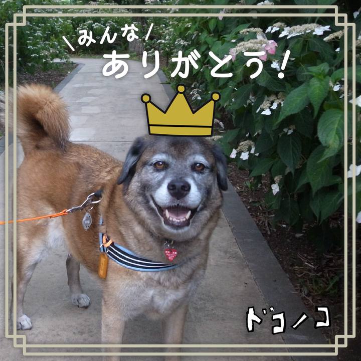 6b1d78f7 8111 4fce 995d ee68841a940f 1622875932711