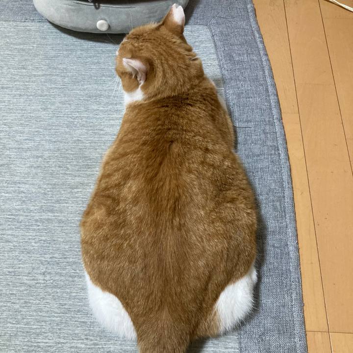 6b1d9bc9 cbb6 44ec aa04 8efa25d03db7 1760002276348