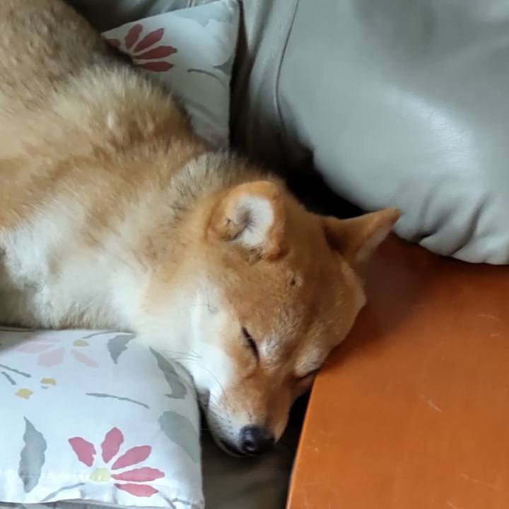 6b1dea18 ea5d 44d0 a6ab 1d63064f7e9e 1646544485148