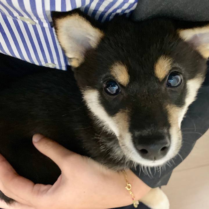 6b1df0a3 26a3 4768 8709 e617ee52863f 1554975897000