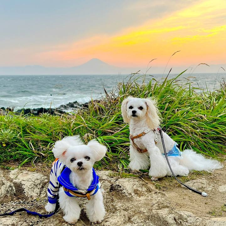 6b1e0303 bb90 45c2 bbfc 15da669cb922 1687921286644