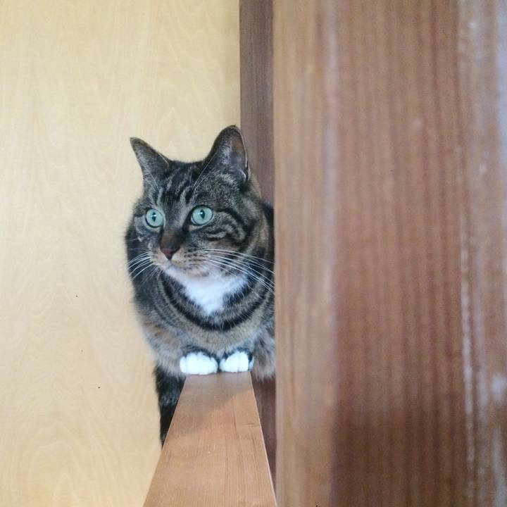 6b1e15ee 6e8c 45f6 a535 6f3c69d63699 1583281882741