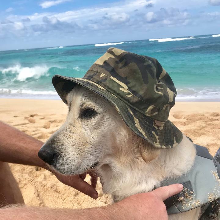 6b1e4c9a 2a95 4ce8 a7fc 6c96ea341409 1548647386946