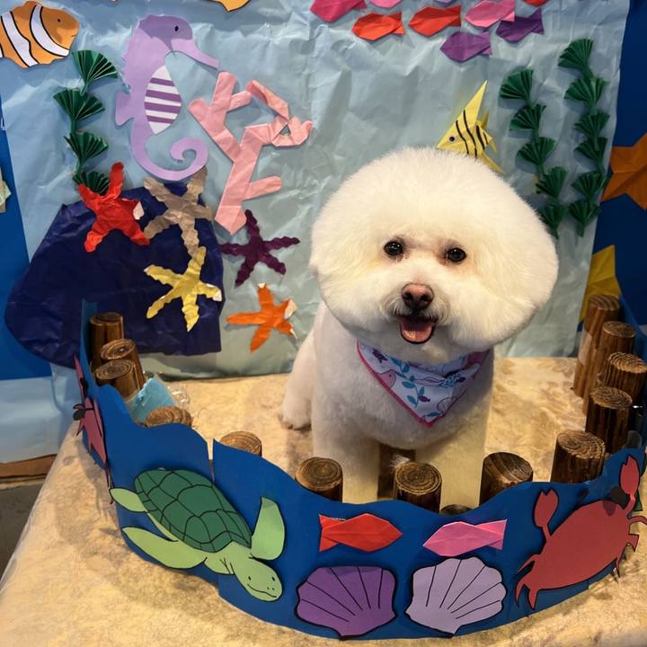 6b1e6628 3951 4224 af99 d41c403ddad9 1657619399939