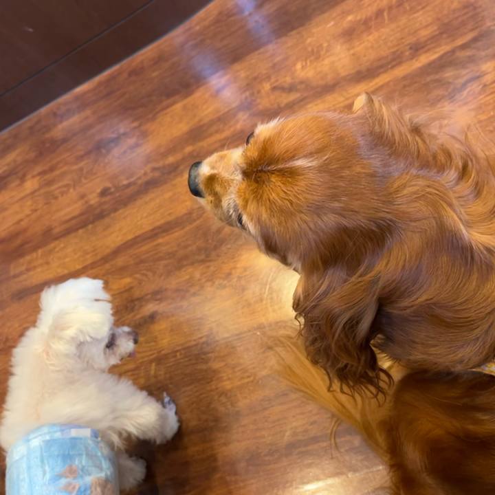 6b1e8b33 3ede 48a7 b361 88105d31332b 1696640867139