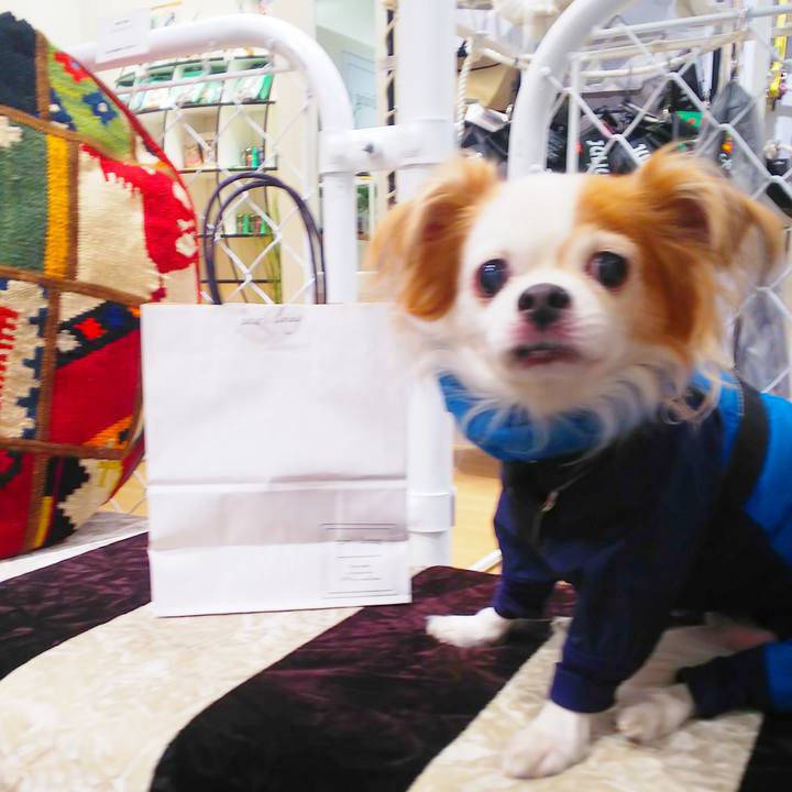 6b1e9f57 17b7 49bf a981 eb583f1aaa2a 1608367260584