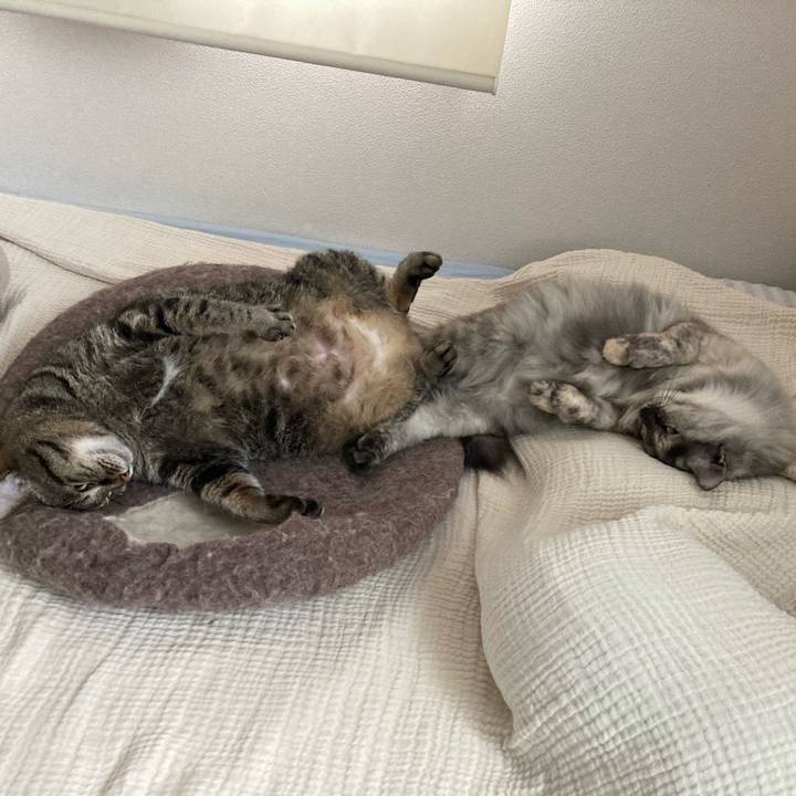 6b1ec0a3 6fd5 4a21 92db 7b3e20925d76 1755836449115