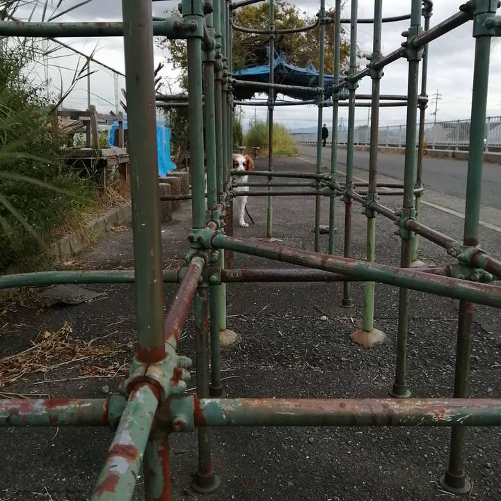 6b1ed803 a47c 44f7 a522 55af34c15720 1575624259202