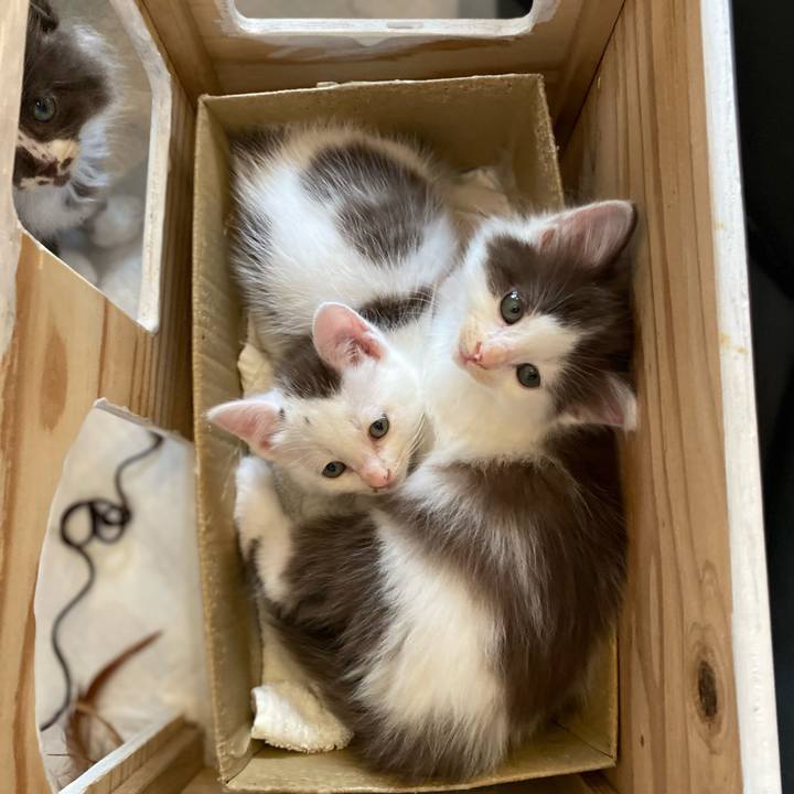 6b1f0a40 d822 412a 9de3 70ca3f72e1e9 1685175229665