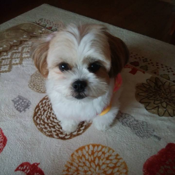 6b1f38f1 c9a6 478a a9eb 6c6beb4b758d 1510099794592