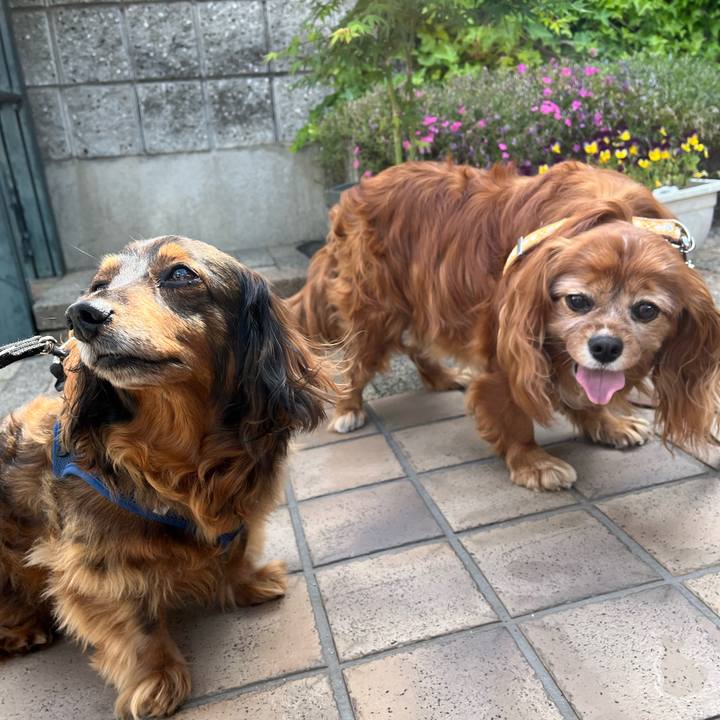 6b1fe51b 3b06 4270 b315 15d49b21e01f 1746317349613