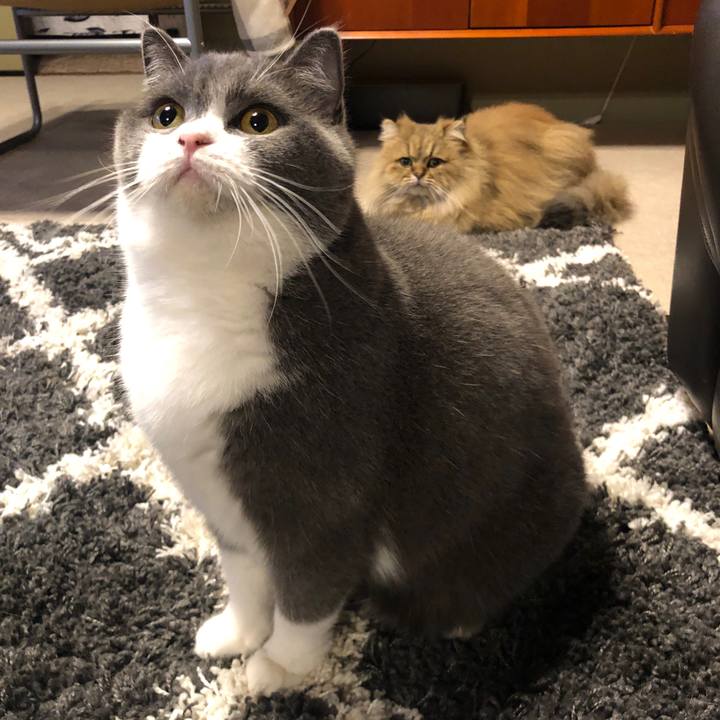 6b1fefff 983b 4b75 a17e de417244cf14 1606995195665