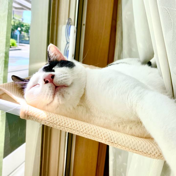 6b1ff450 36b7 4cbb be2b 2078eb712ae4 1753020113663