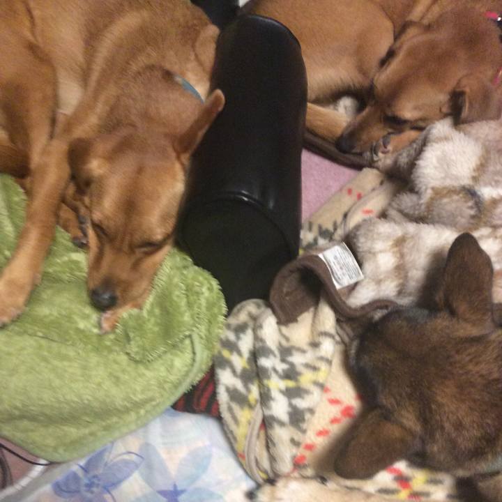 6b2004fa 1a29 48bd b436 62e40e50a817 1517496078539