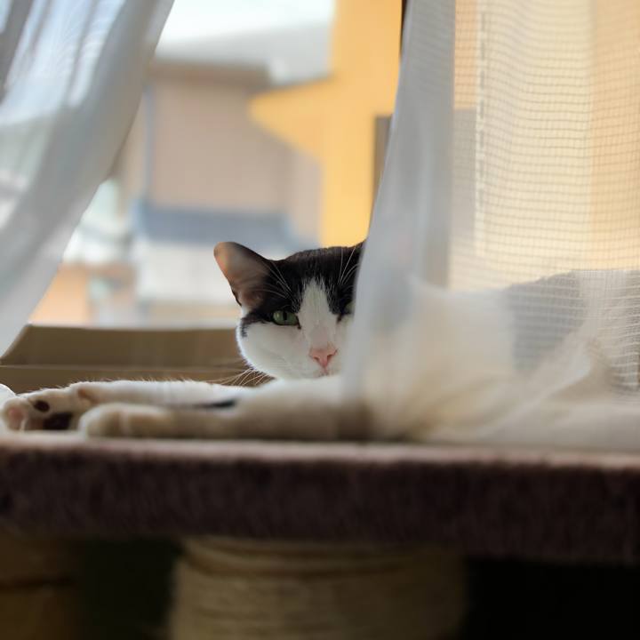 6b200697 9229 4bf5 a159 f648d30bc0d3 1594520397064