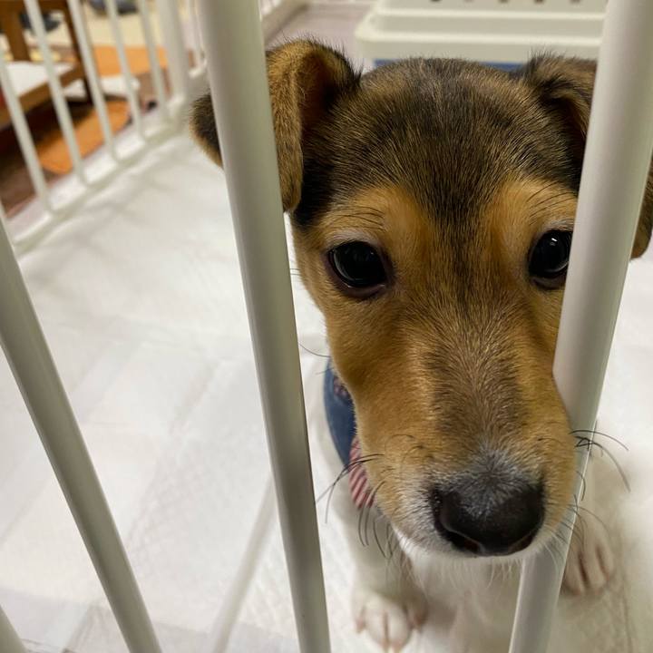 6b2008e8 9238 4788 8227 4d6dcebb35c1 1743338584309