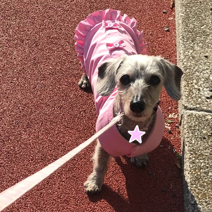 6b201853 f0a8 46e6 846f e4c18edfc998 1511957875667