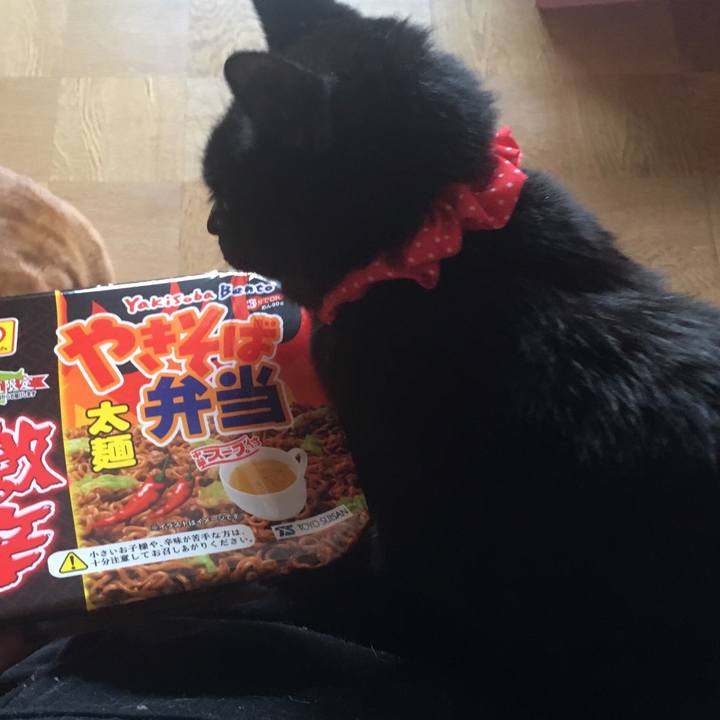 6b203c38 cbfb 4179 8215 5f890a9a8593 1550964786624