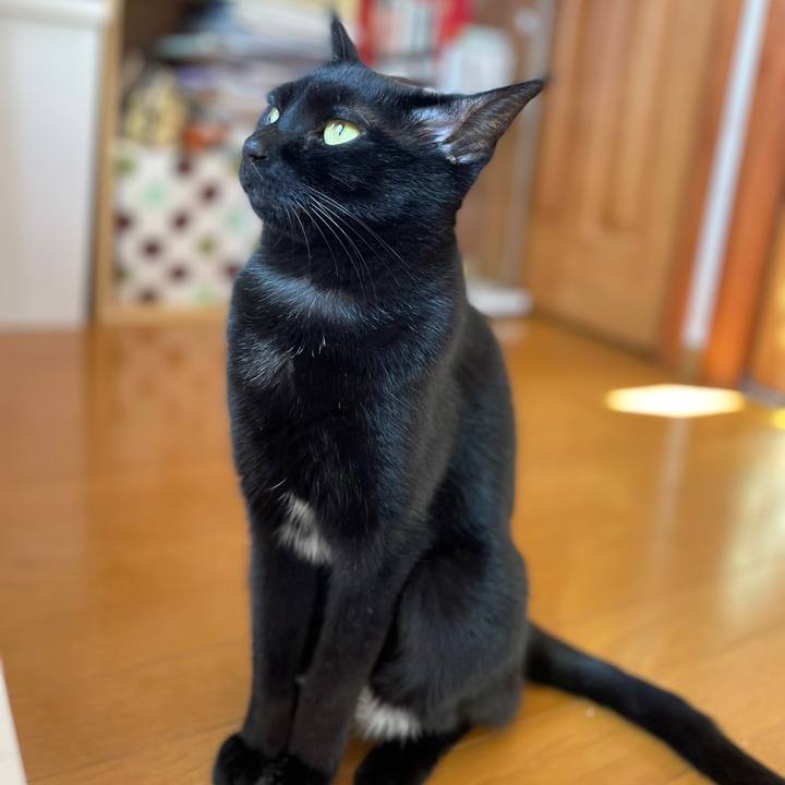 6b2050f9 8ba4 4f28 9d59 f9fc90fab4e0 1644589632229