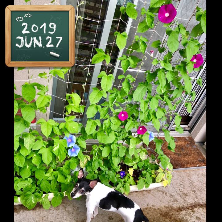 6b205c87 6065 473d 9156 378a66b99cf0 1561591031277