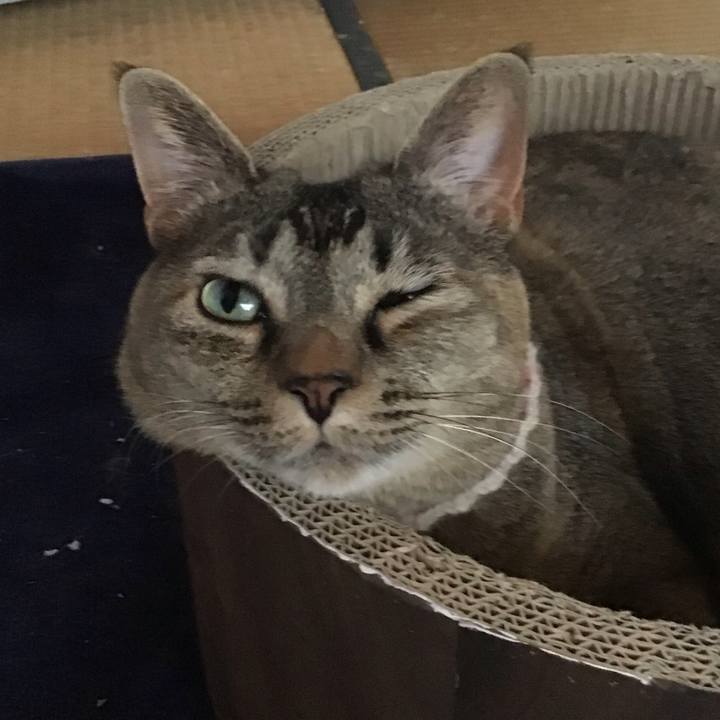 6b205ce9 9a64 4b1d a9f6 26bb48caab2f 1716096519706