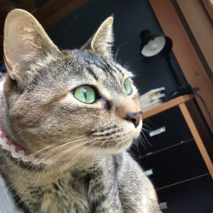 6b206b56 c75b 4606 841e cbc6eb4f6921 1653038361530