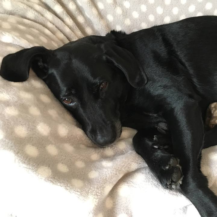 6b20a11f 4c6a 46ec ac71 824fa0595837 1511135142206