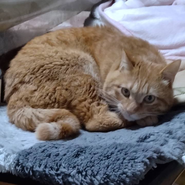 6b20d346 1510 4706 8ebf 3cf0e103d2af 1674632388998