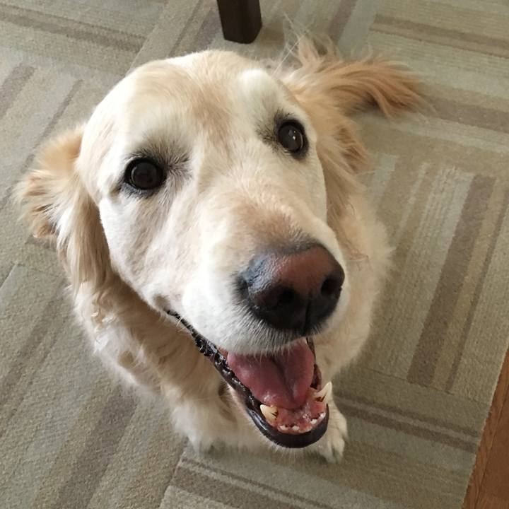 6b20e0ad 797c 4bb9 a1d4 949b4f4b43f5 1559387689353