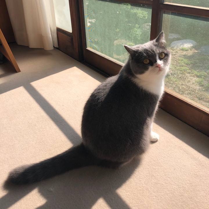 6b20e6be 9678 44ad 9ada 228fdf74ae64 1572164048823