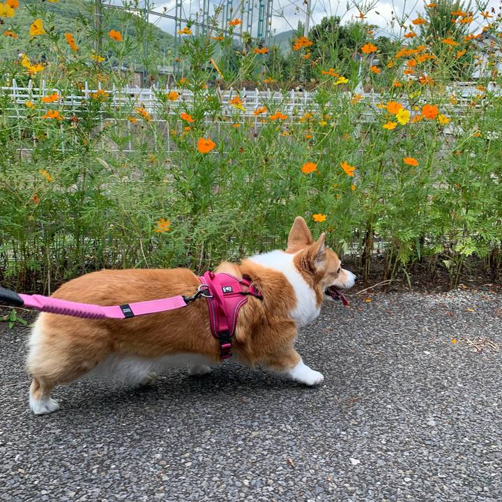 6b216f19 55a7 4126 a815 309d3f313fc4 1695085590482