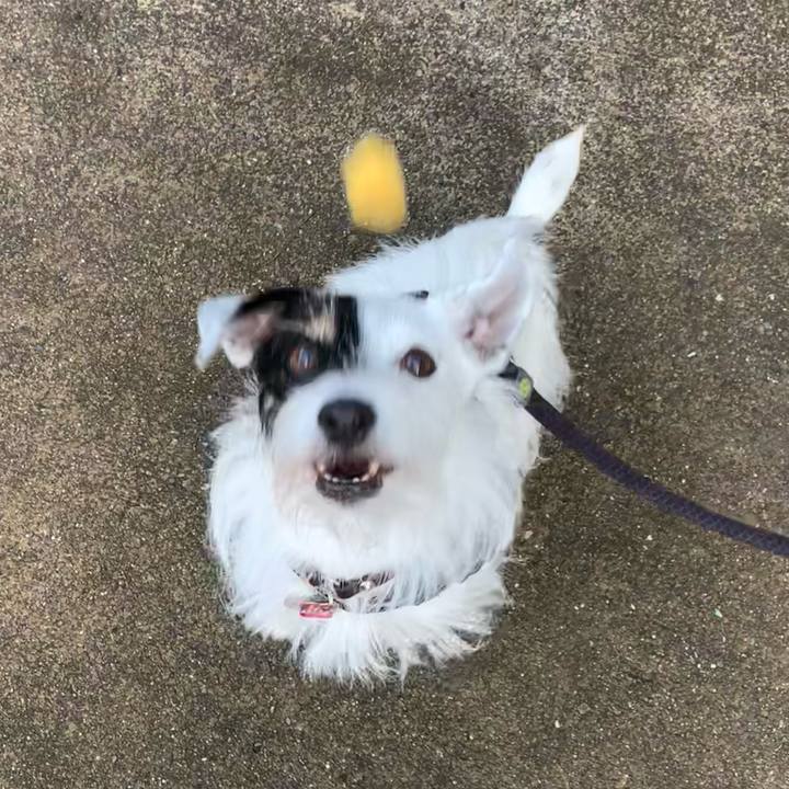 6b218d75 ab26 4059 abfa 3c47f3506ff7 1699226929290