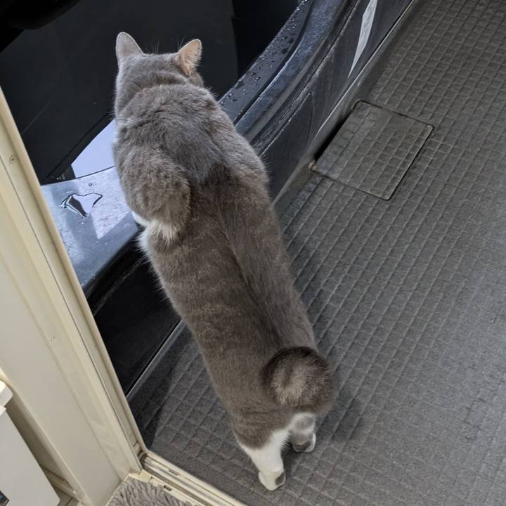 6b21c54e ecb0 4894 8b2b cb6a296f822e 1753274824142