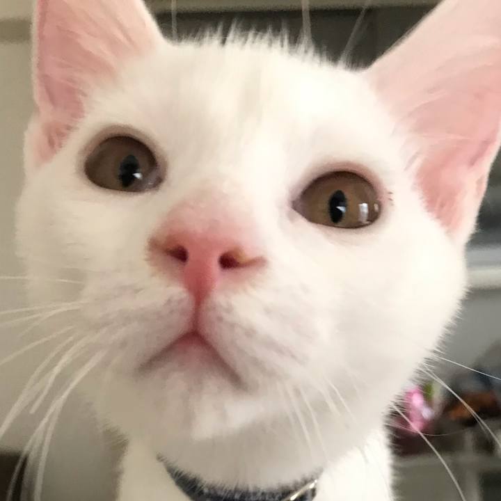 6b224206 555d 4ec9 8fd9 da0bc3fa1e89 1569229172607