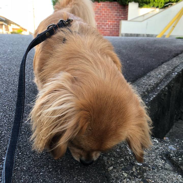 6b224c7e fe3d 4886 8c38 ff03f7a435cc 1524089622631