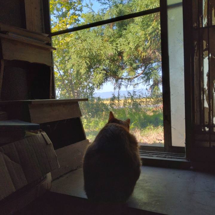 6b227590 0b31 4331 9366 69210f103b58 1664508031654