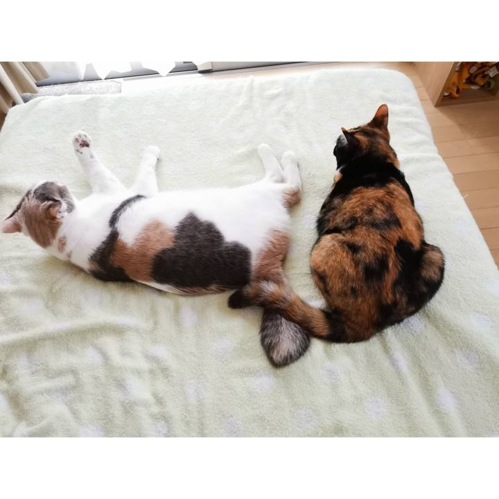 6b22795e 902c 45f3 9f49 6232486c576d 1660631373635