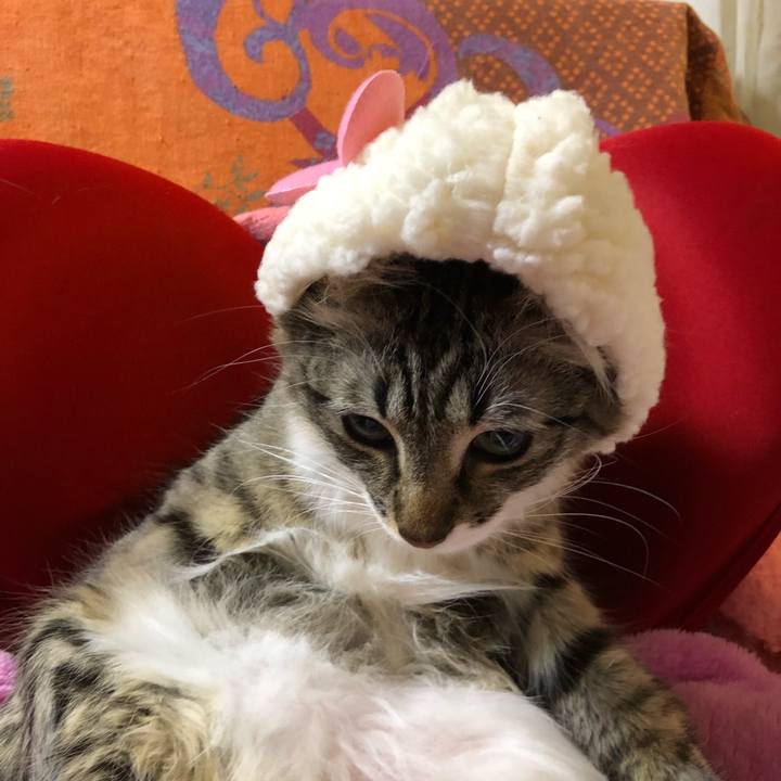 6b227dbc ab64 482d 8d2c 22af38c222aa 1518612801345