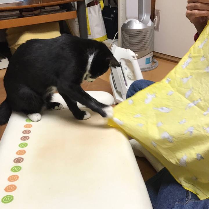 6b230c24 498f 41c6 bb2e 586e6f5059e1 1508817293416