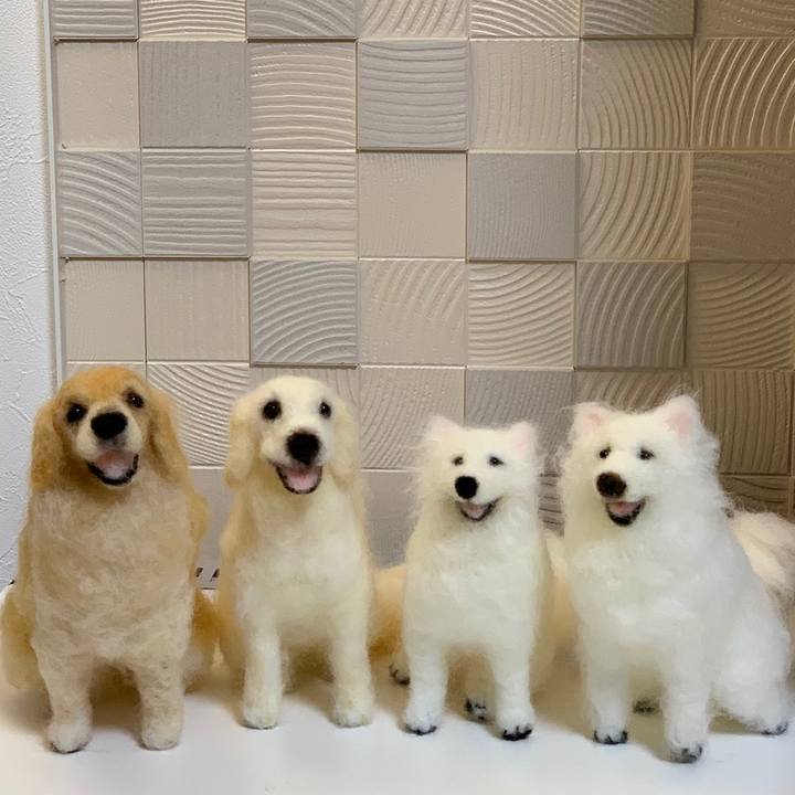 6b23208d 2f71 4030 84f5 c841cdedcb7b 1558476809777