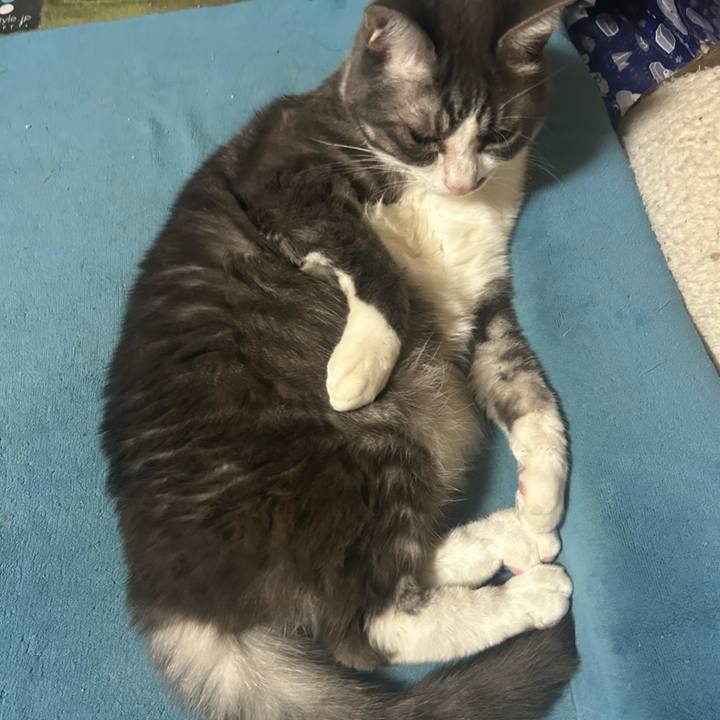 6b2320c0 b188 441e 904a acffc536bc75 1765429163621