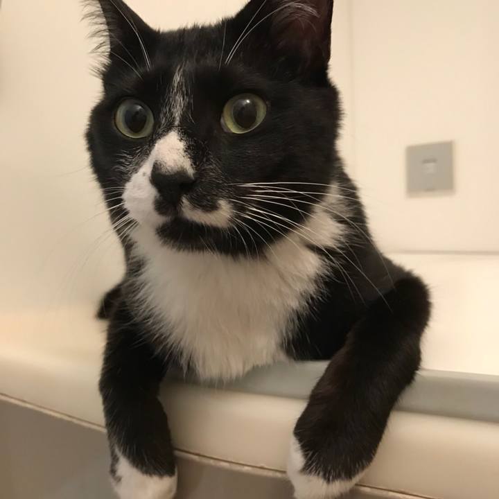 6b233d4d cdaf 433b ae61 14afc5b6c45c 1530934943435