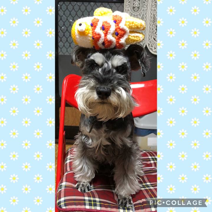 6b233e4d 0300 42ef 9fac 0be02f03411d 1683289873115