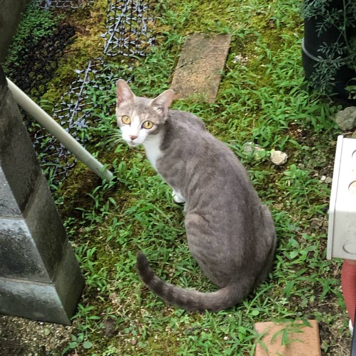 6b2368c6 e0f0 476f aa9b d1b080781be9 1629462010809