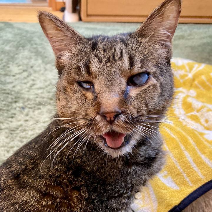 6b238d20 6736 40c4 ba79 d86a1458122e 1687855380813