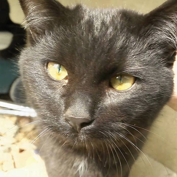 6b238e41 868b 4054 92a3 48b0c092b58e 1550981680818