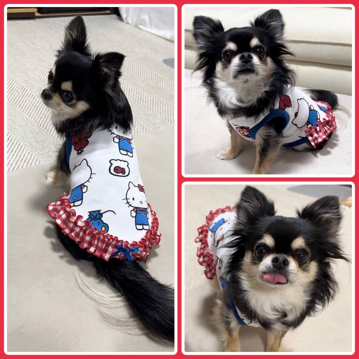 6b23915f 8497 4457 9d43 21b30bbcccdf 1675471075546