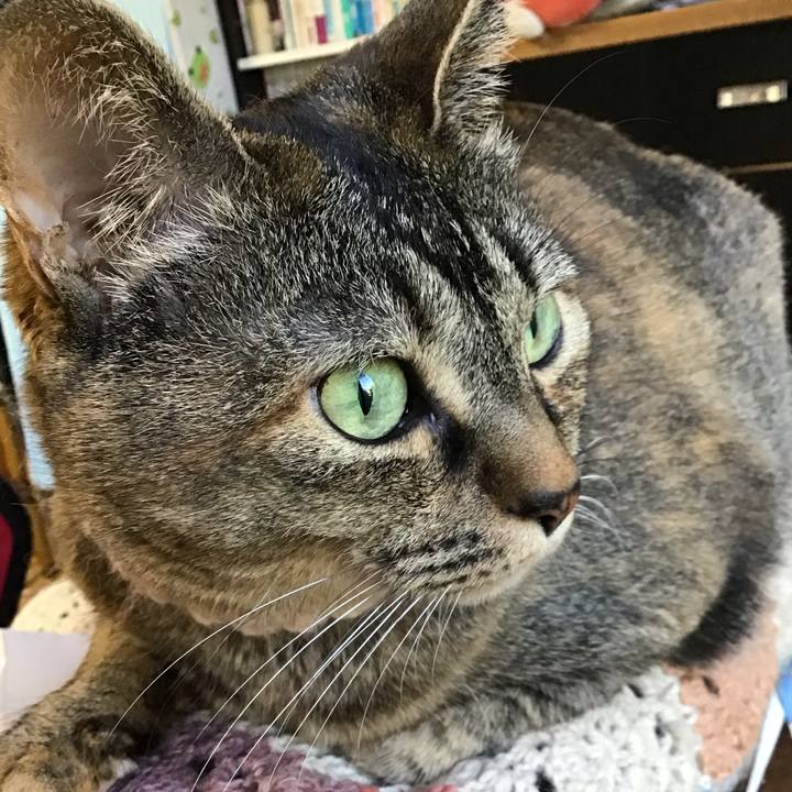 6b23b145 4311 458a 9097 c229f9c3c5cd 1714726992175