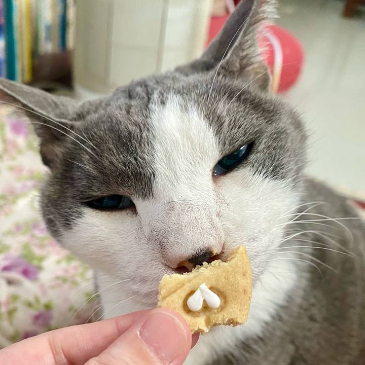 6b23ccca dfcc 4742 937e 654824e370e3 1766223628446