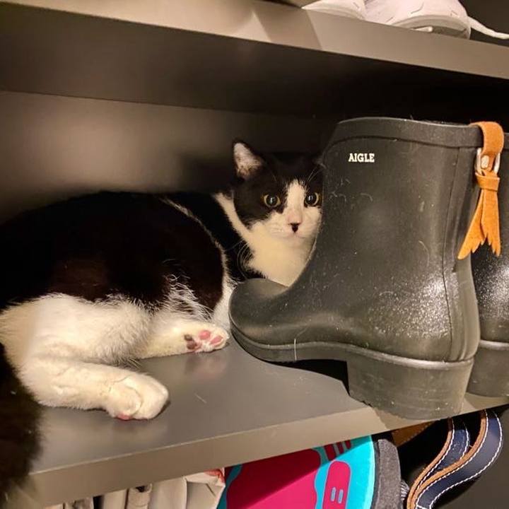 6b23d8c7 36dd 4b25 bb28 f7b33e7798dd 1722164099796